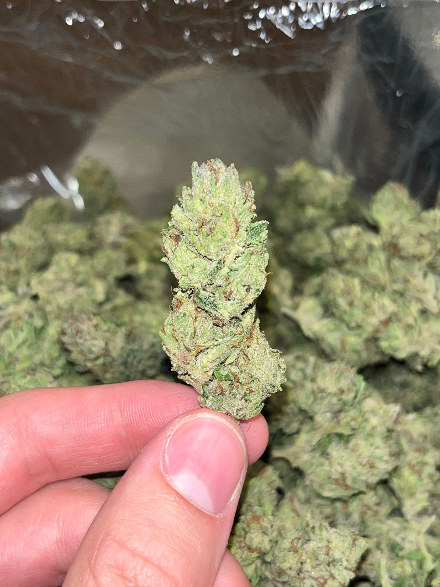 Mystery Dank Sampler | MerC Pack - 3.5g x 4