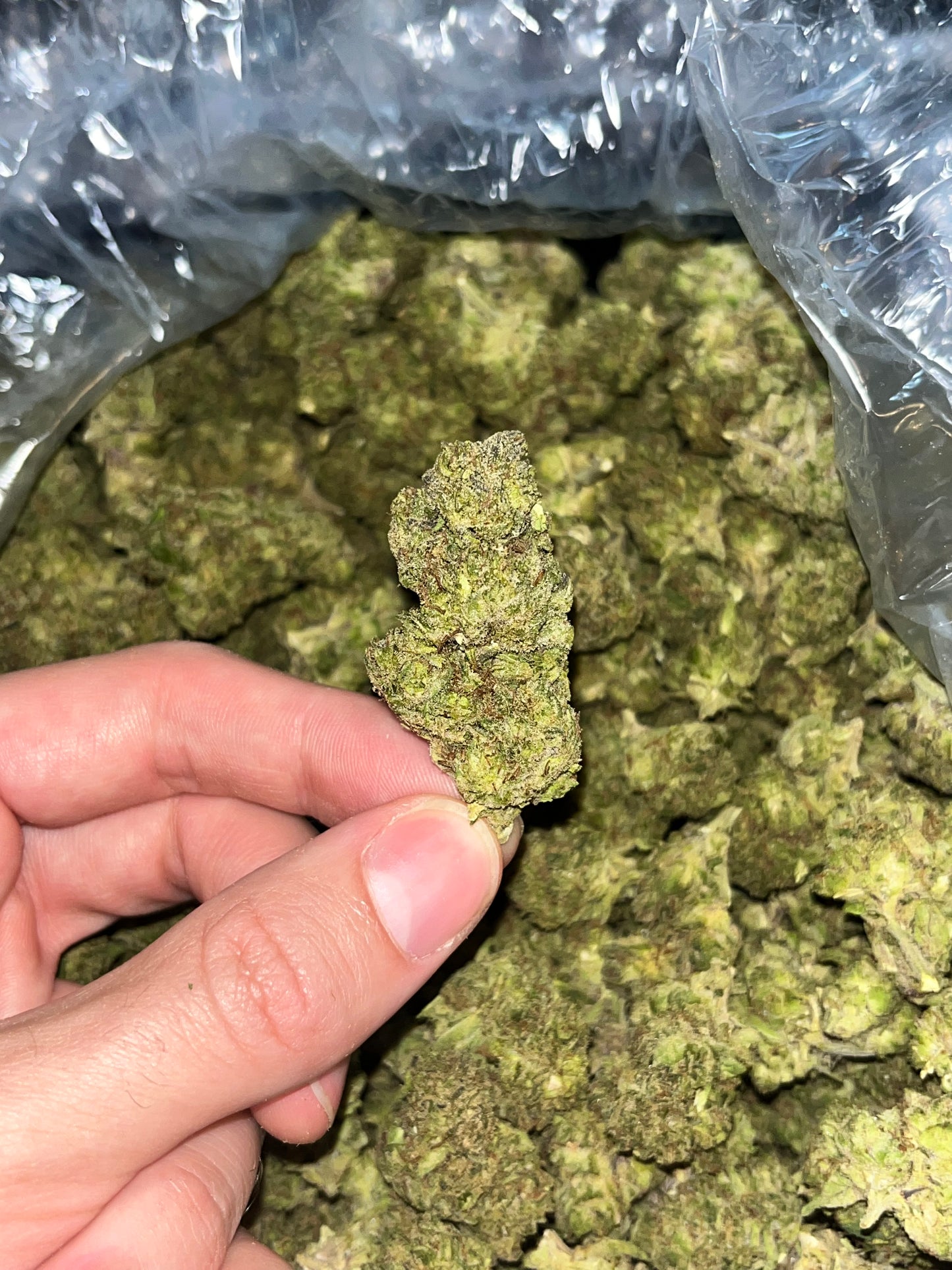 MerC Pack - Cheerios 1 Ounce Loose Flower *tax included*