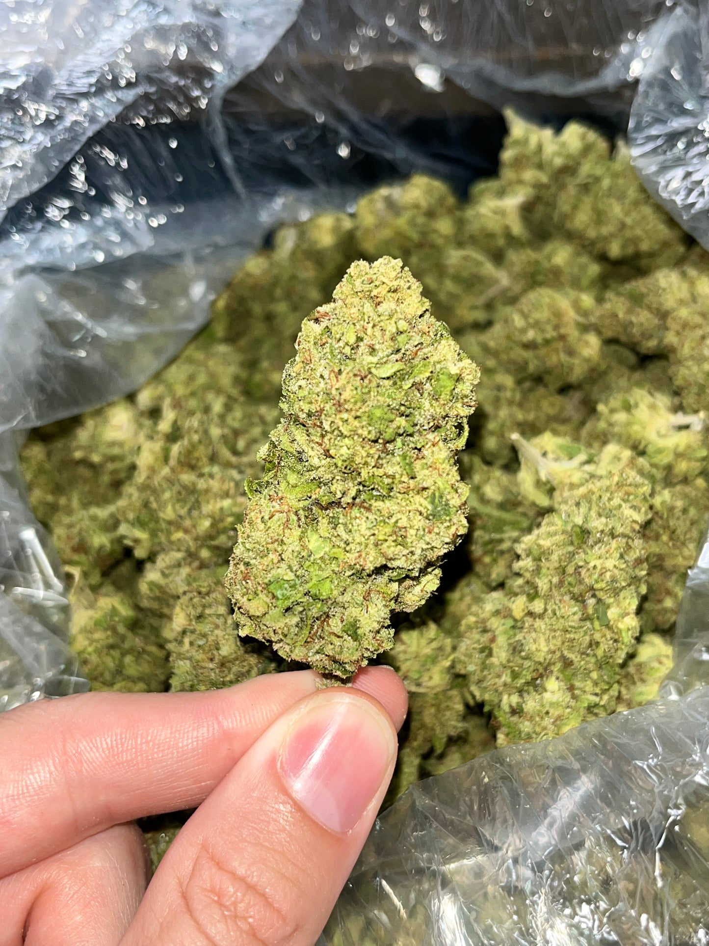 MerC Pack - Hawaiian 1 Ounce Loose Flower *tax included*