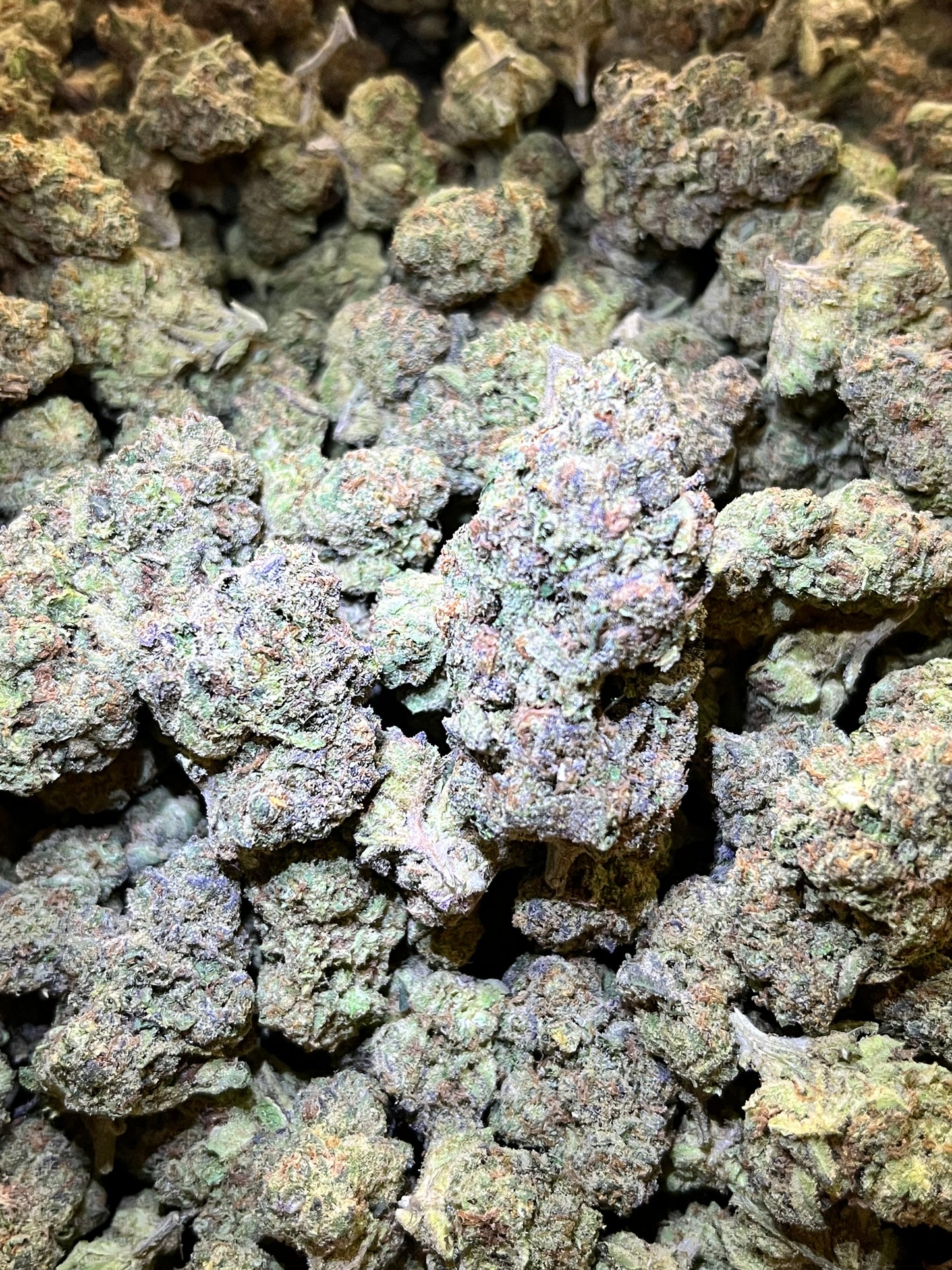 MerC Pack - Rainbow Sherbert 1 Ounce Loose Flower *tax included*