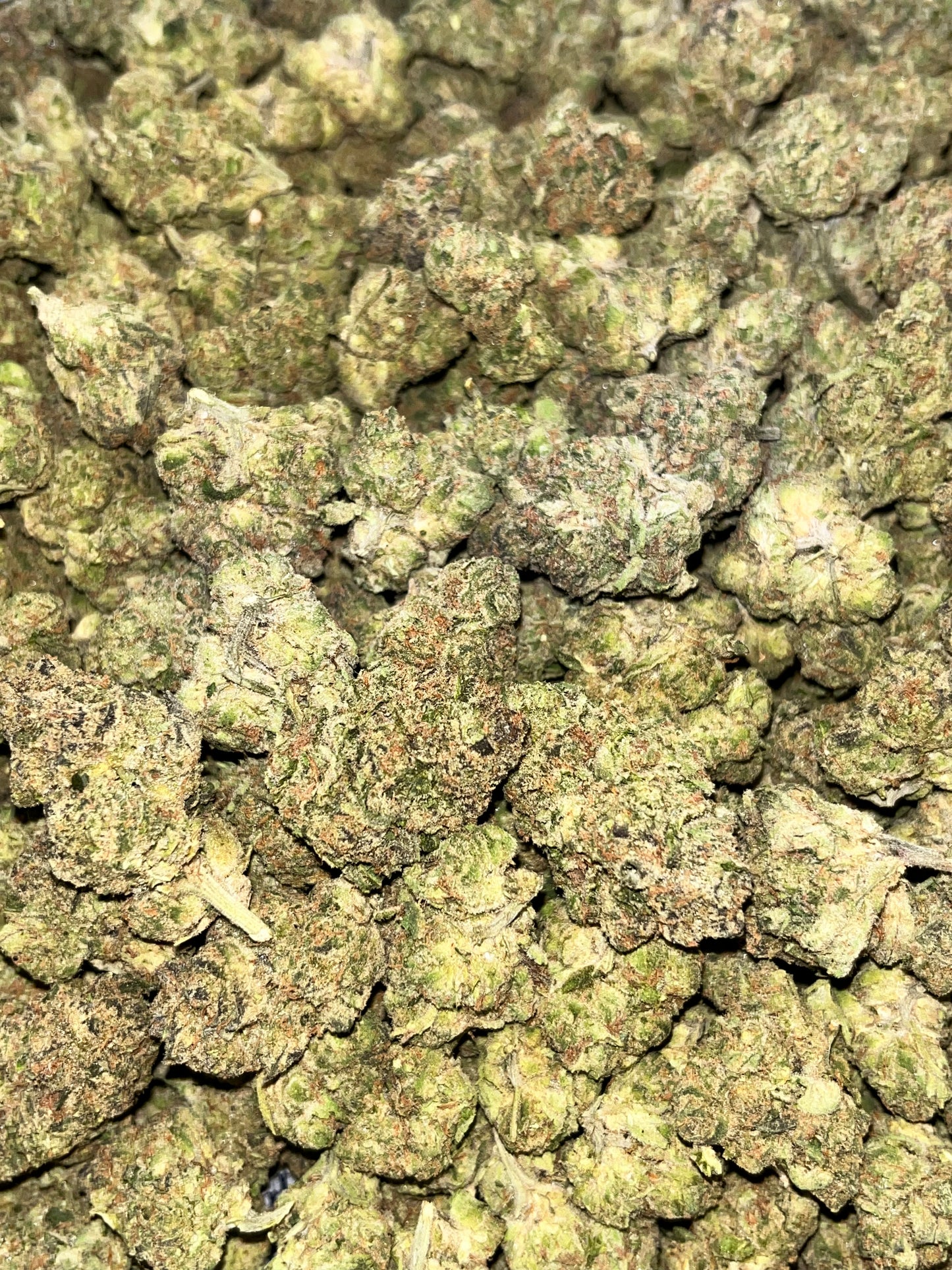 MerC Pack - Forum Cookies 1 Ounce Loose Flower *tax included*