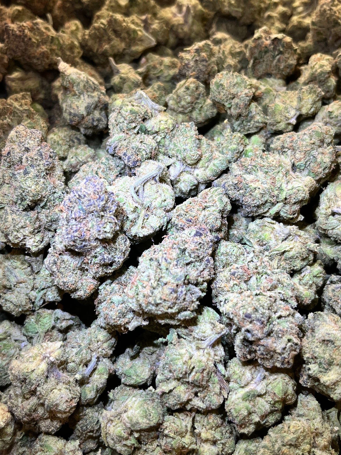 MerC Pack - Forum Cookies 1 Ounce Loose Flower *tax included*