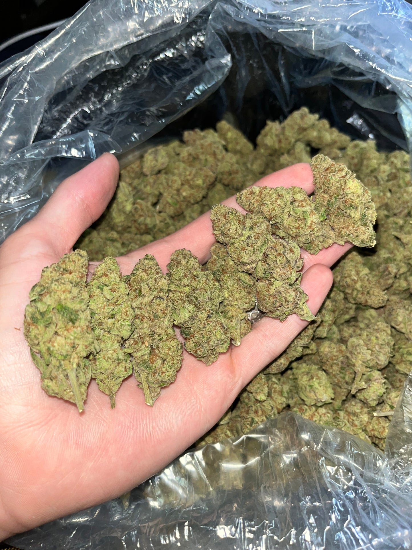 Mystery Dank Sampler | MerC Pack - 3.5g x 4